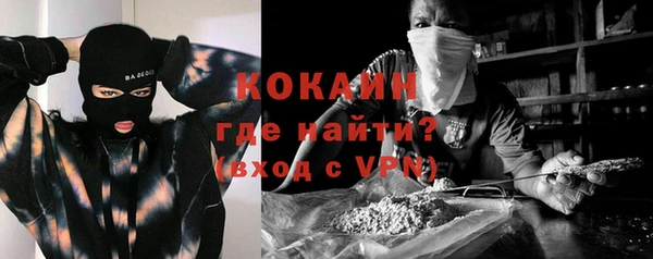 не бодяженный Ладушкин