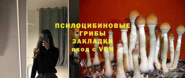мяу мяу мука Домодедово