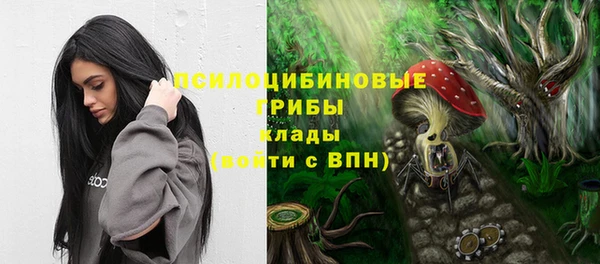 мдма Лагань