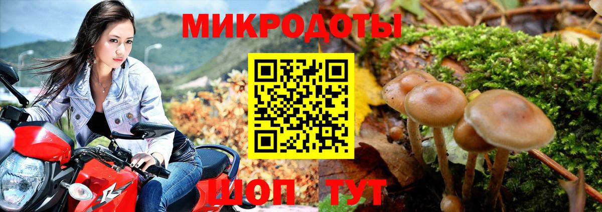 Галлюциногенные грибы Cubensis Туймазы