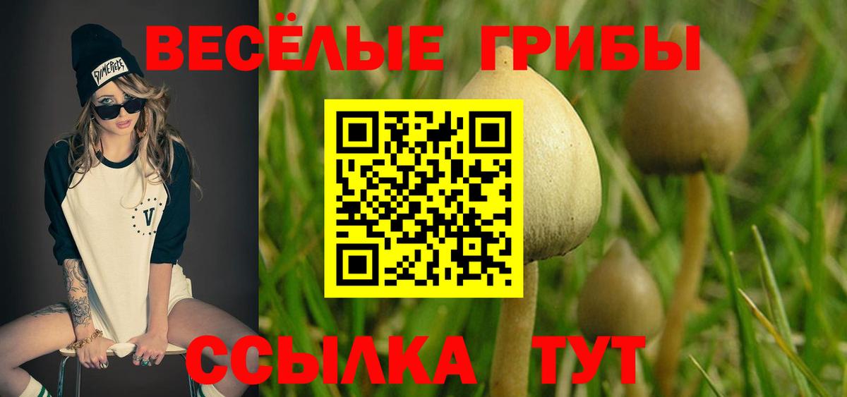 Псилоцибиновые грибы прущие грибы  Вход с VPN  Туймазы 