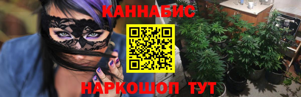 Марихуана тримм  Конопля план  Бошки марихуана Amnesia  Туймазы  Конопля марихуана  Вход с VPN 
